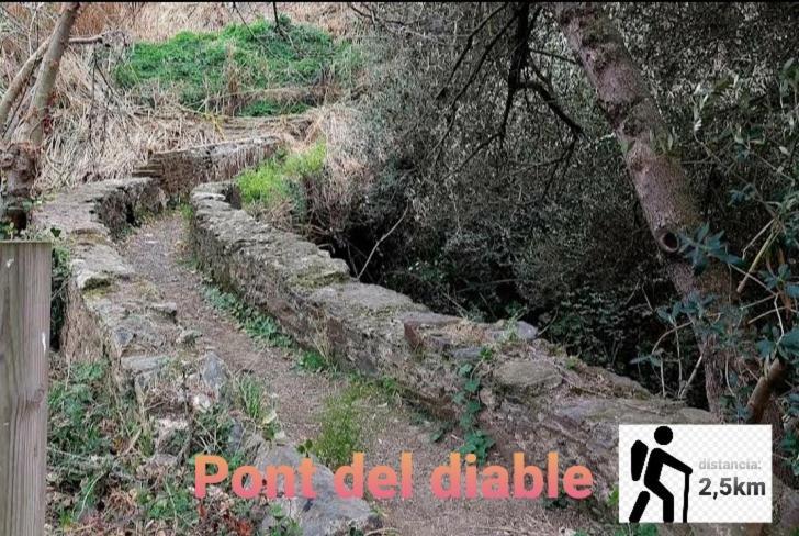 Apartamento En La Costa Del Maresme بينيذا ذي مار المظهر الخارجي الصورة